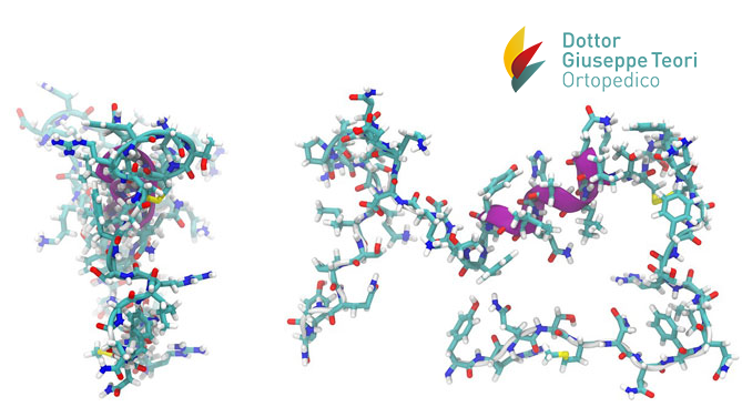 Peptidi Bioattivi